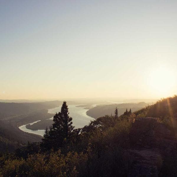 Marie-Laure B. — Responsable